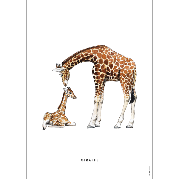 Poster Giraf familie - 6 stuks